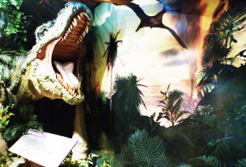 Dinosaur and fossil exhibition