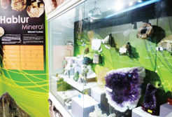 Minerals, crystals and gemstones exhibition