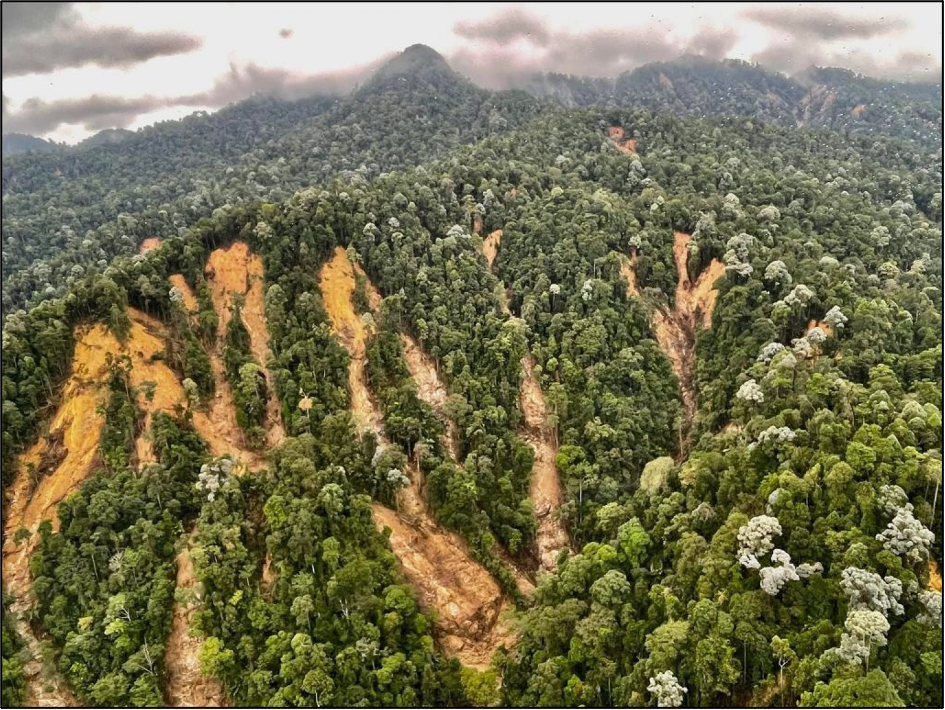 ‘Scar’ tanah runtuh yang berlaku di Gunung Jerai, Kedah